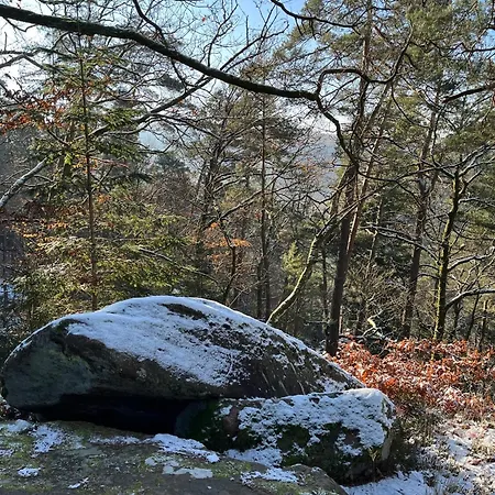 Ferienhaus Des Chenes *