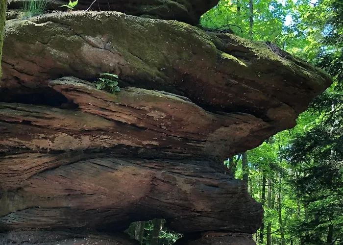 Des Chenes 度假居 法勒斯堡