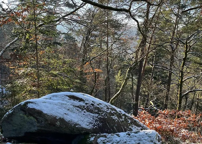 度假居 Des Chenes *